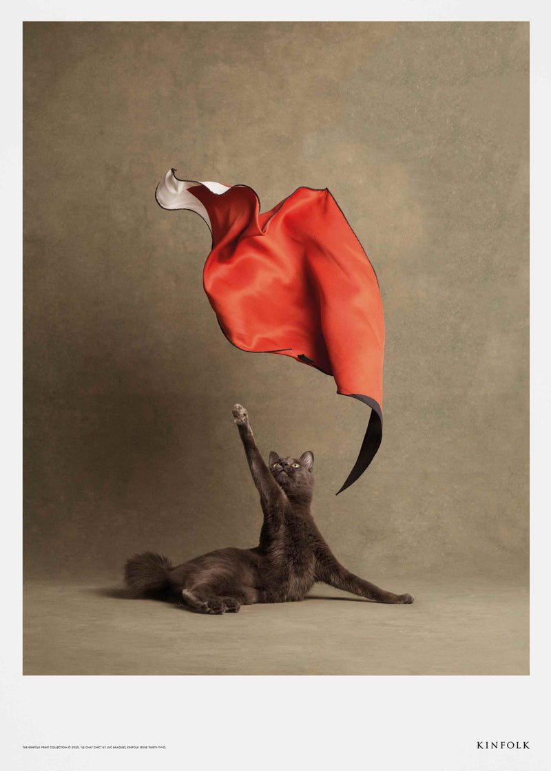 Le Chat Chic