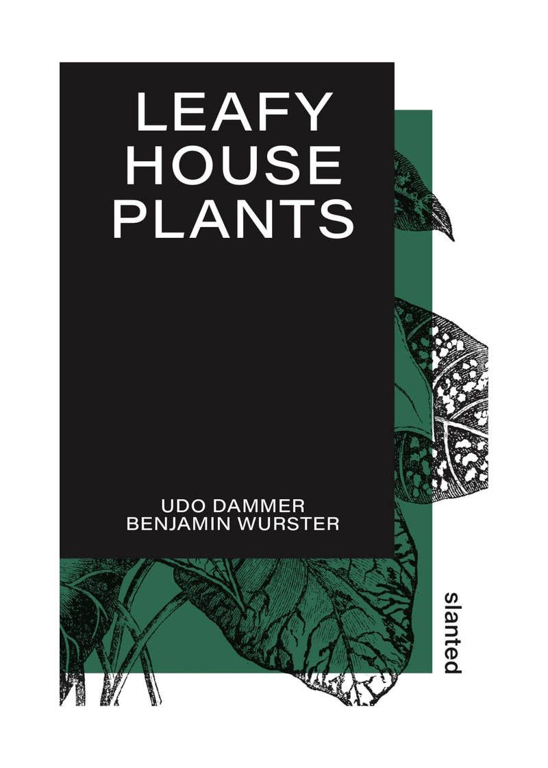 Leafy House Plants